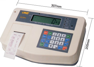 W22 series, Indicator with Mini-Printer